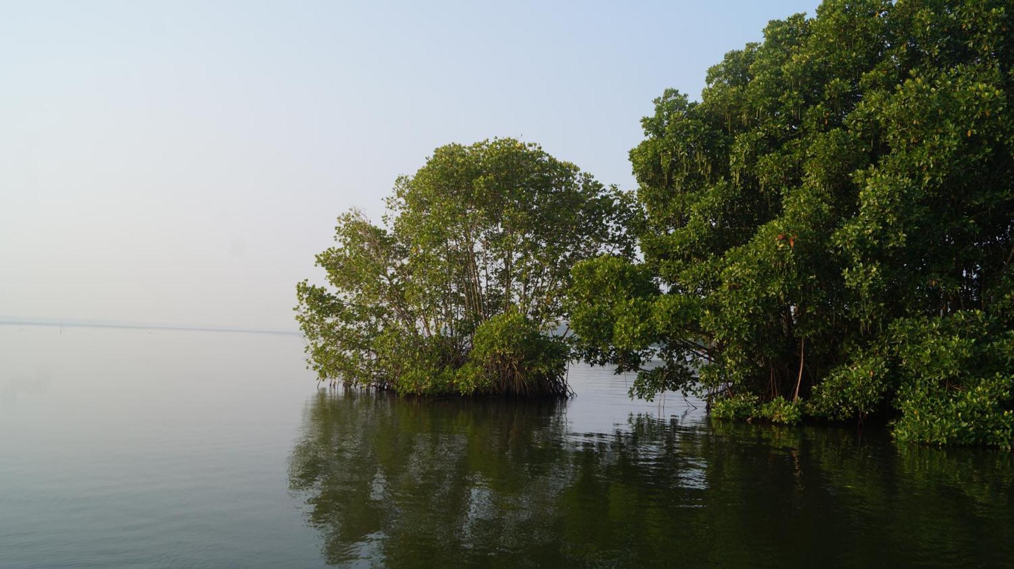 Blue Lake Villa Kollam Luaran gambar